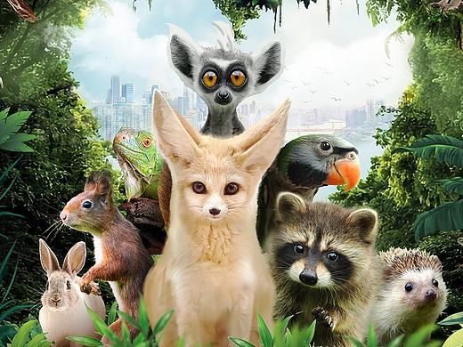 动物园海报（个人主页-ZMjk3MjI4ODA=） - 海报 - 站酷设计师沐雪夜舞原创素材 - 站酷ZCOOL