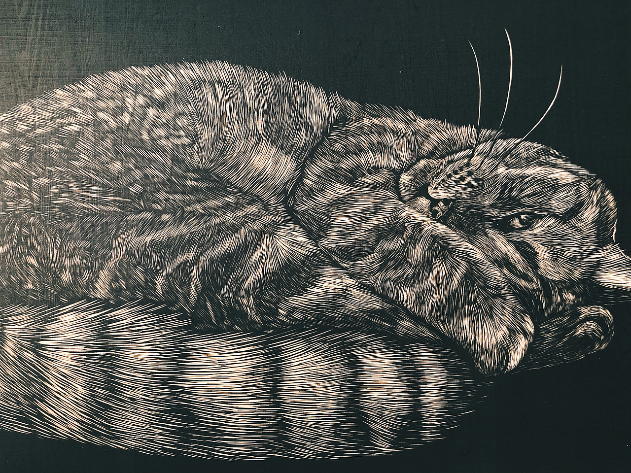 手工雕刻黑白木刻版画猫咪