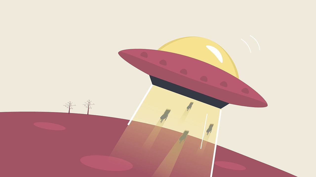 《新手开公司》