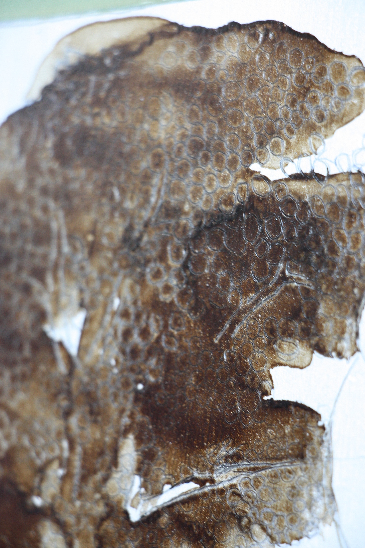 平凡的敦煌,平凡的自己,平凡的生活,才是精彩的人生