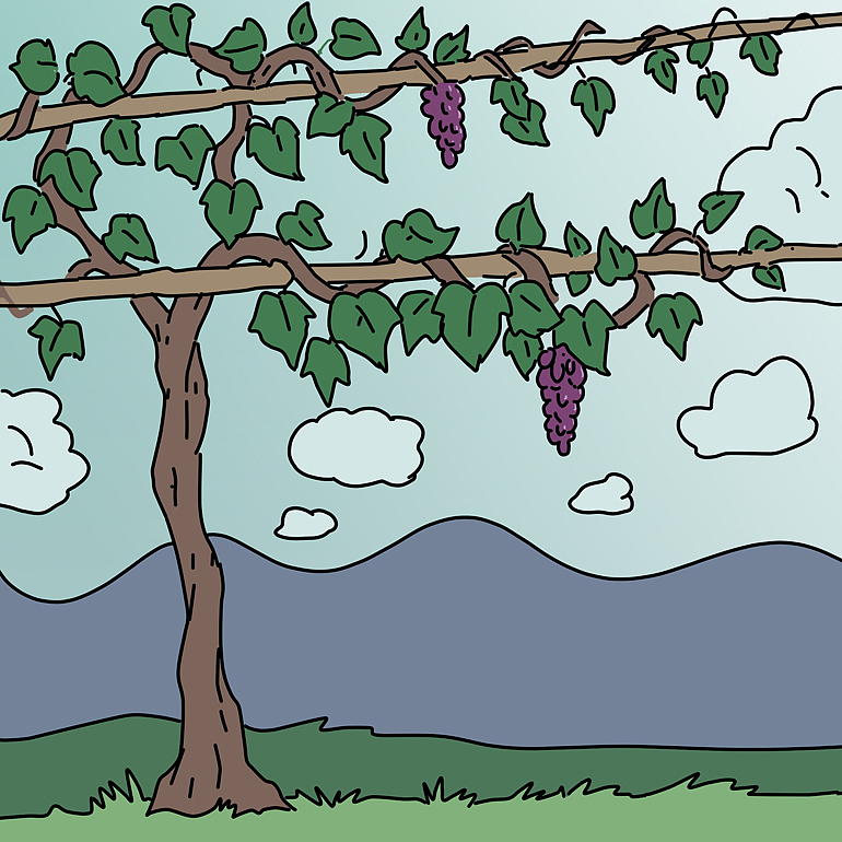 我们在葡萄树做枝子,怎么知道自己是活着的呢?