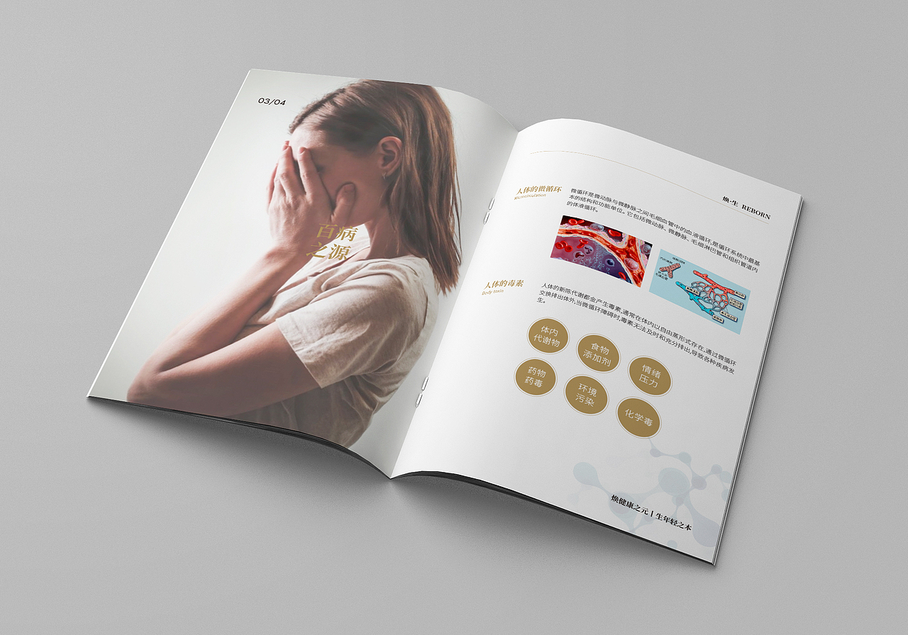 焕生——微循环