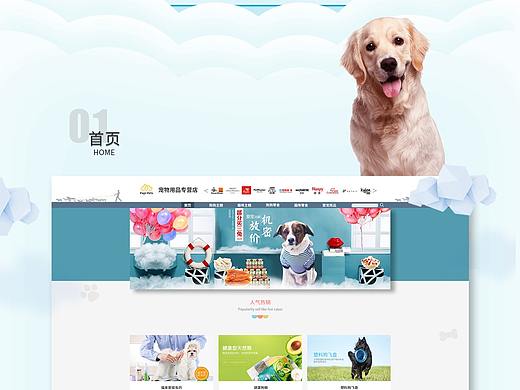 电商web-Papi pets（个人主页-ZMzY4Njc1NzI=） - 电商 - 站酷设计师JannaZ原创素材 - 站酷ZCOOL