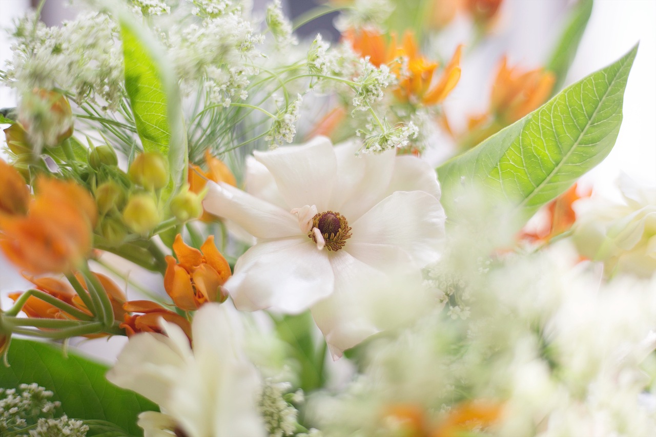 榆 | 从都市美学中审视