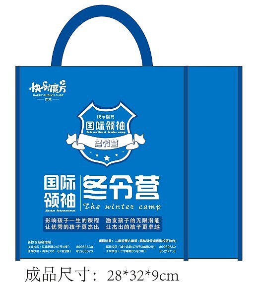 国际领袖冬令营