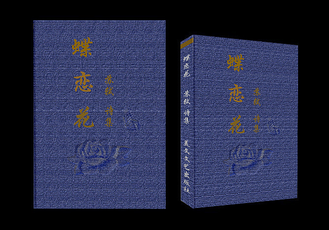 书籍封面设计 珍藏版