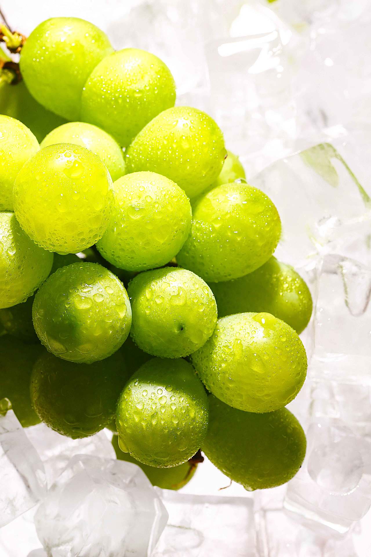 清凉一夏青提 | 茶饮拍摄 |摄影|产品摄影|hting