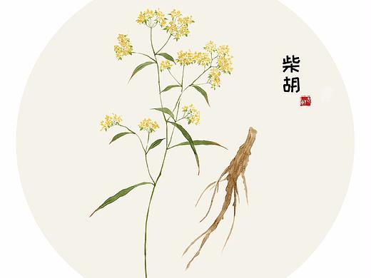 本草。二