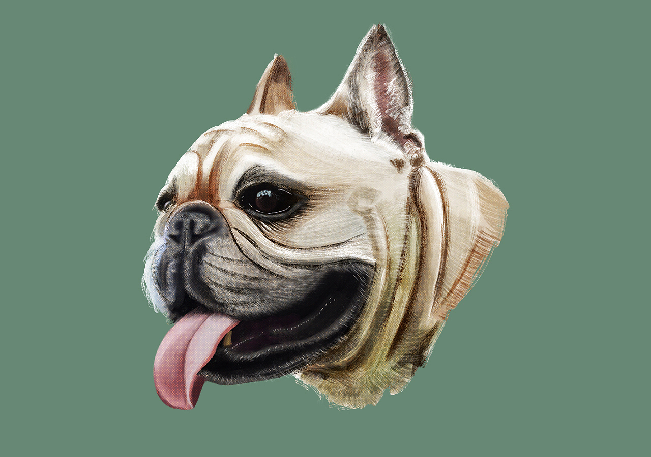 一些狗狗头~汪~（图ZMTY0NjE0MDEy） - 创作习作 - 站酷设计师君小阳原创素材 - 站酷ZCOOL