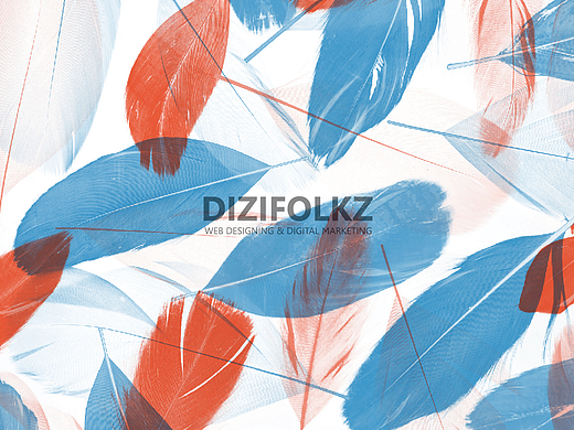 印度Dizifolkz​网络服务商