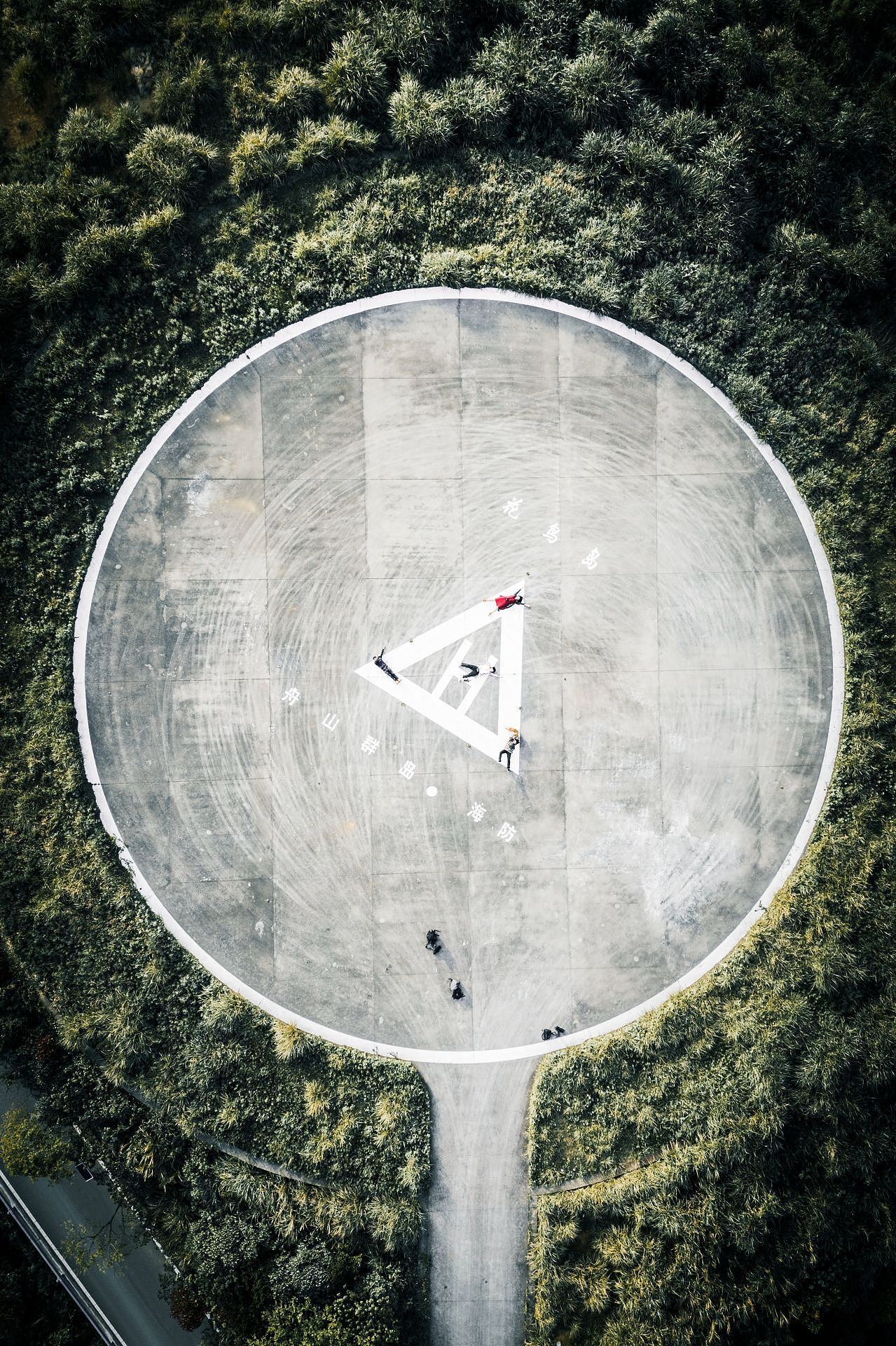 花鸟岛的停机坪 ,旁边有一只小黄狗跟着我们上山了~