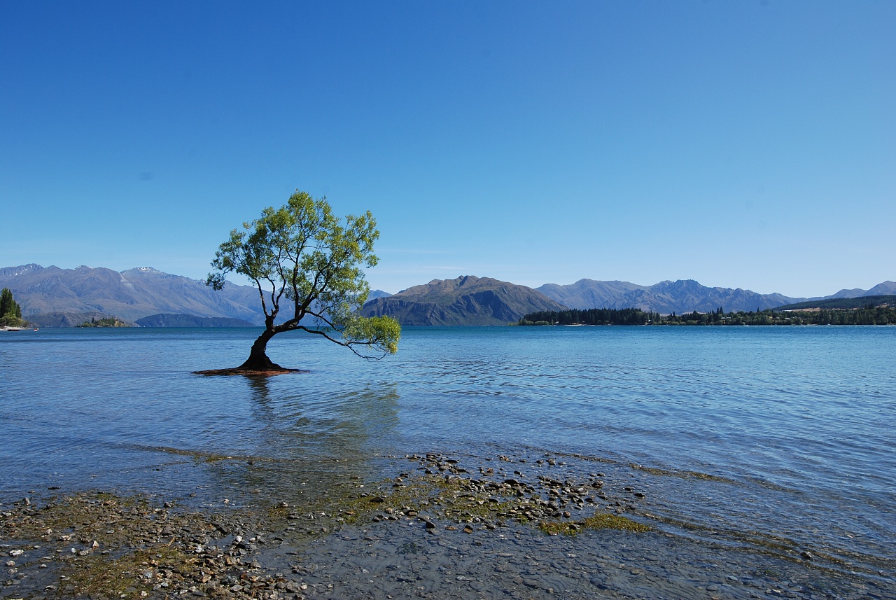 新西兰南岛6日精华之旅 周日出发 South Island 6 Days Leisure Tour（Code：NZS212） | 金程旅游