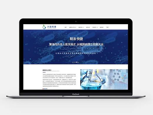 一个医疗网站（个人主页-ZNDAxMTE2NDQ=） - 企业官网 - 站酷设计师zmy123原创素材 - 站酷ZCOOL