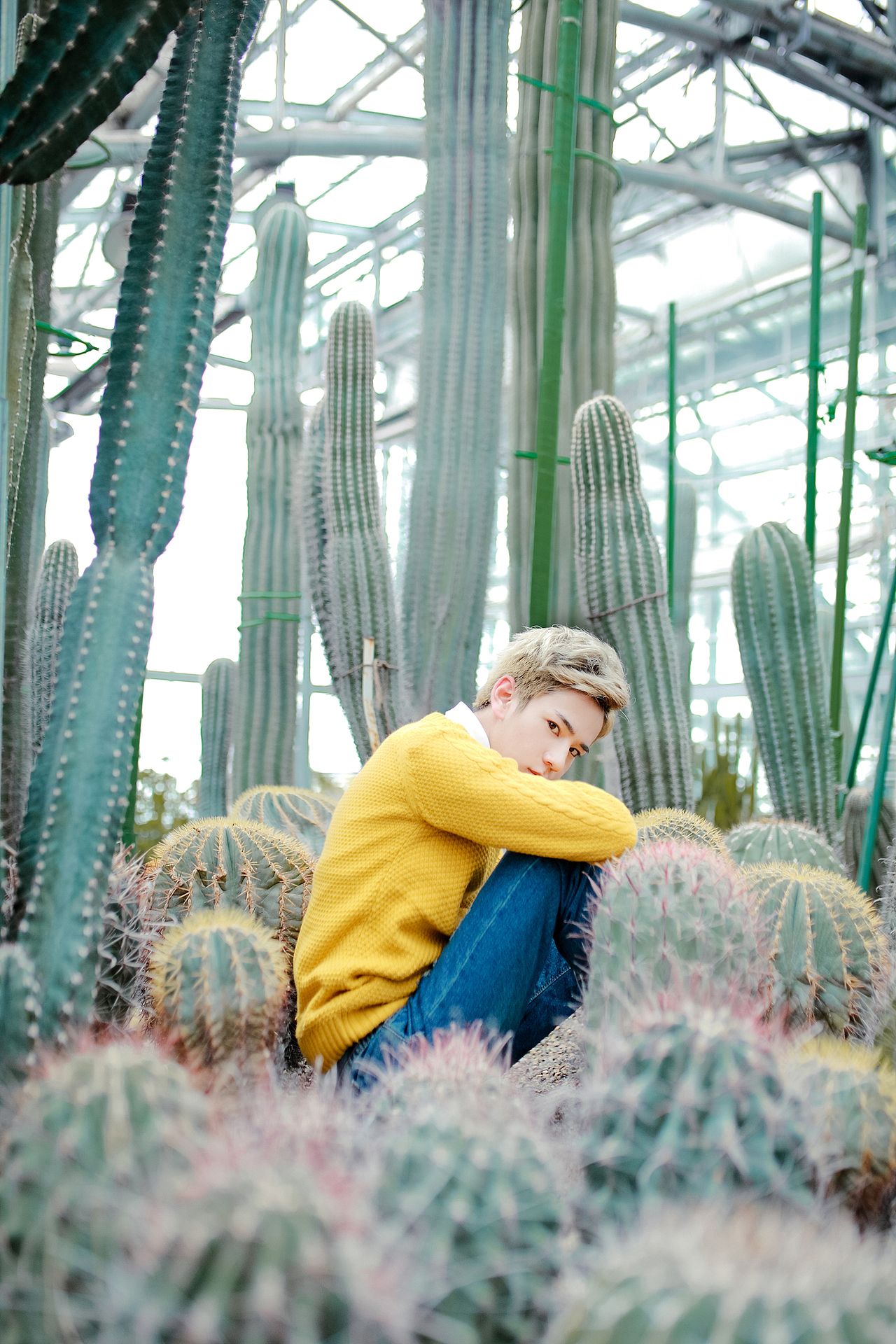 「君は永遠の恋人」