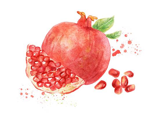 水彩风-水果系列