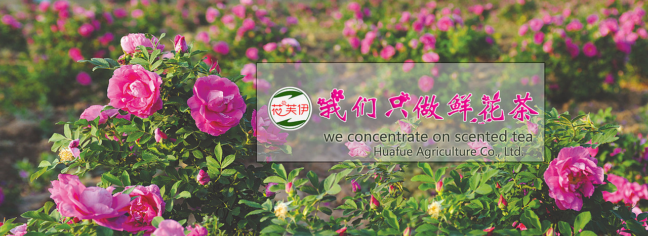 花芙伊花茶企业海报设计（图ZNjQ0NzE1MTI=） - 海报 - 站酷设计师花芙伊原创素材 - 站酷ZCOOL