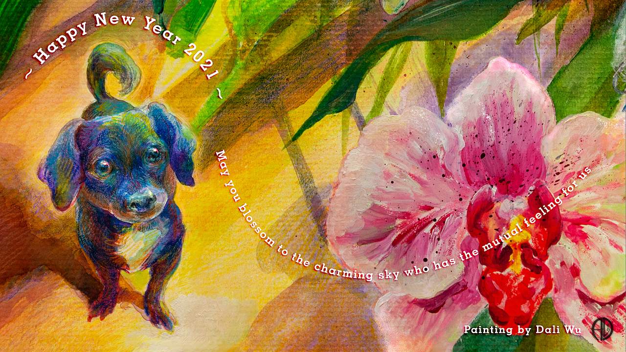 生命是流动的华尔兹