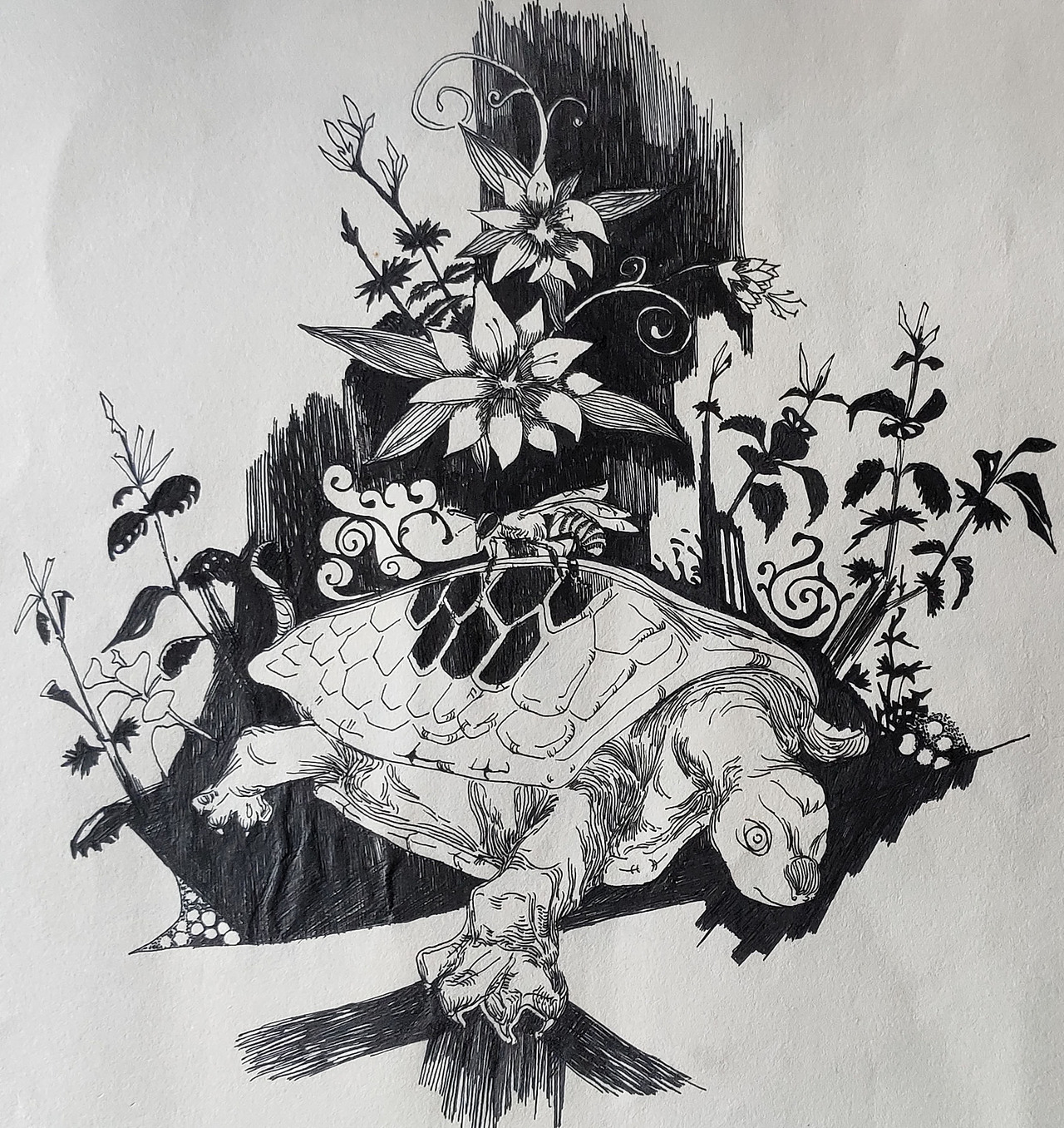 课业涂鸦 《龟-鱼-鸟-蜗》（图ZMTYxNzIxOTg0） - 创作习作 - 站酷设计师逐末原创素材 - 站酷ZCOOL