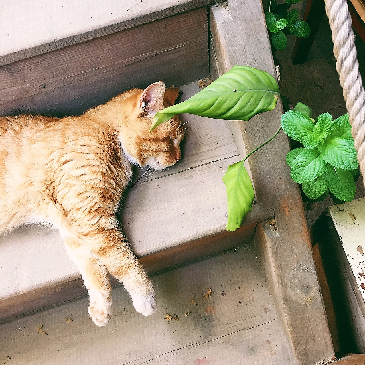 小景（图ZNzkyMzc5NDg=） - 人文/纪实摄影 - 站酷设计师伊人143原创素材 - 站酷ZCOOL