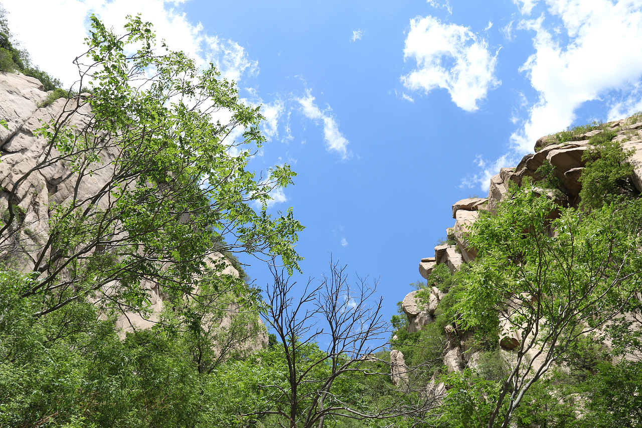 北京凤凰岭自然风景区  杨力 风光摄影作品