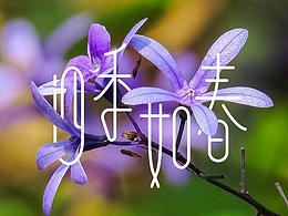 字體設(shè)計(jì)