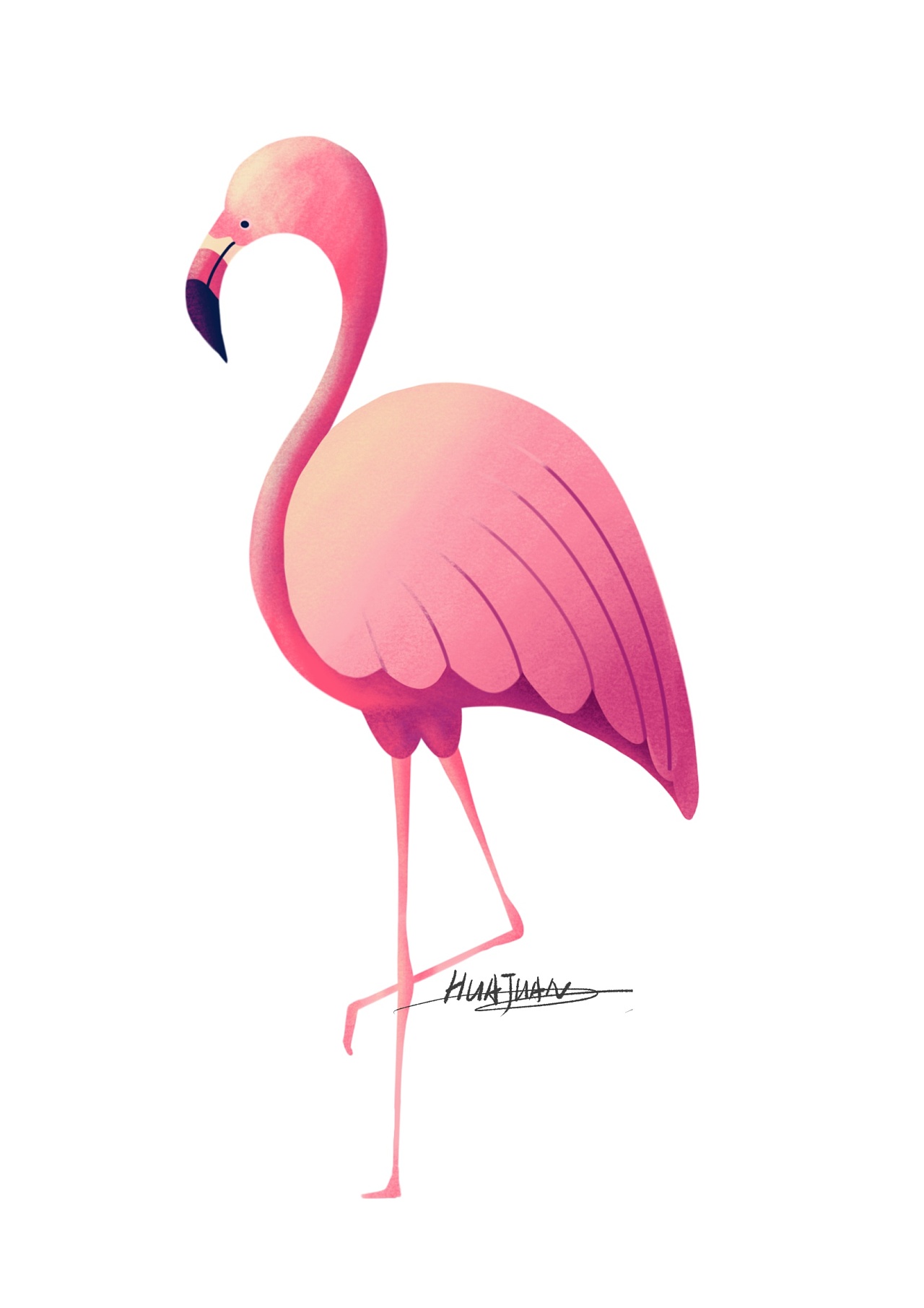 近期插画手绘参考临摹练习