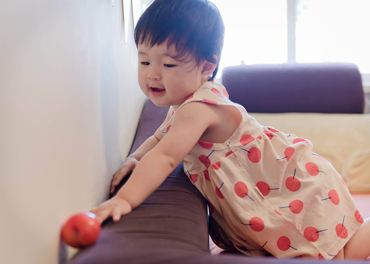 小宝鸡的周岁纪念