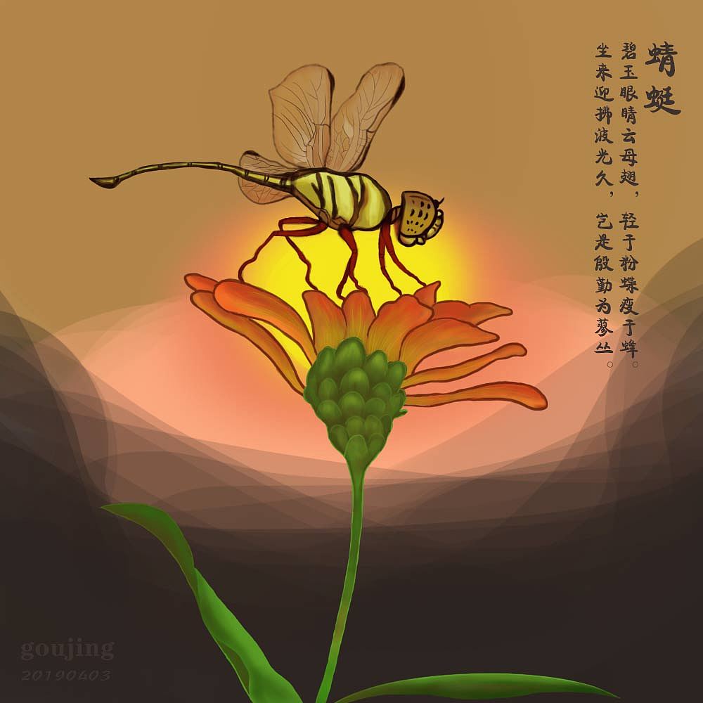 蜻蜓（图ZMTUyNjc5OTM2） - 创作习作 - 站酷设计师jingdezk原创素材 - 站酷ZCOOL