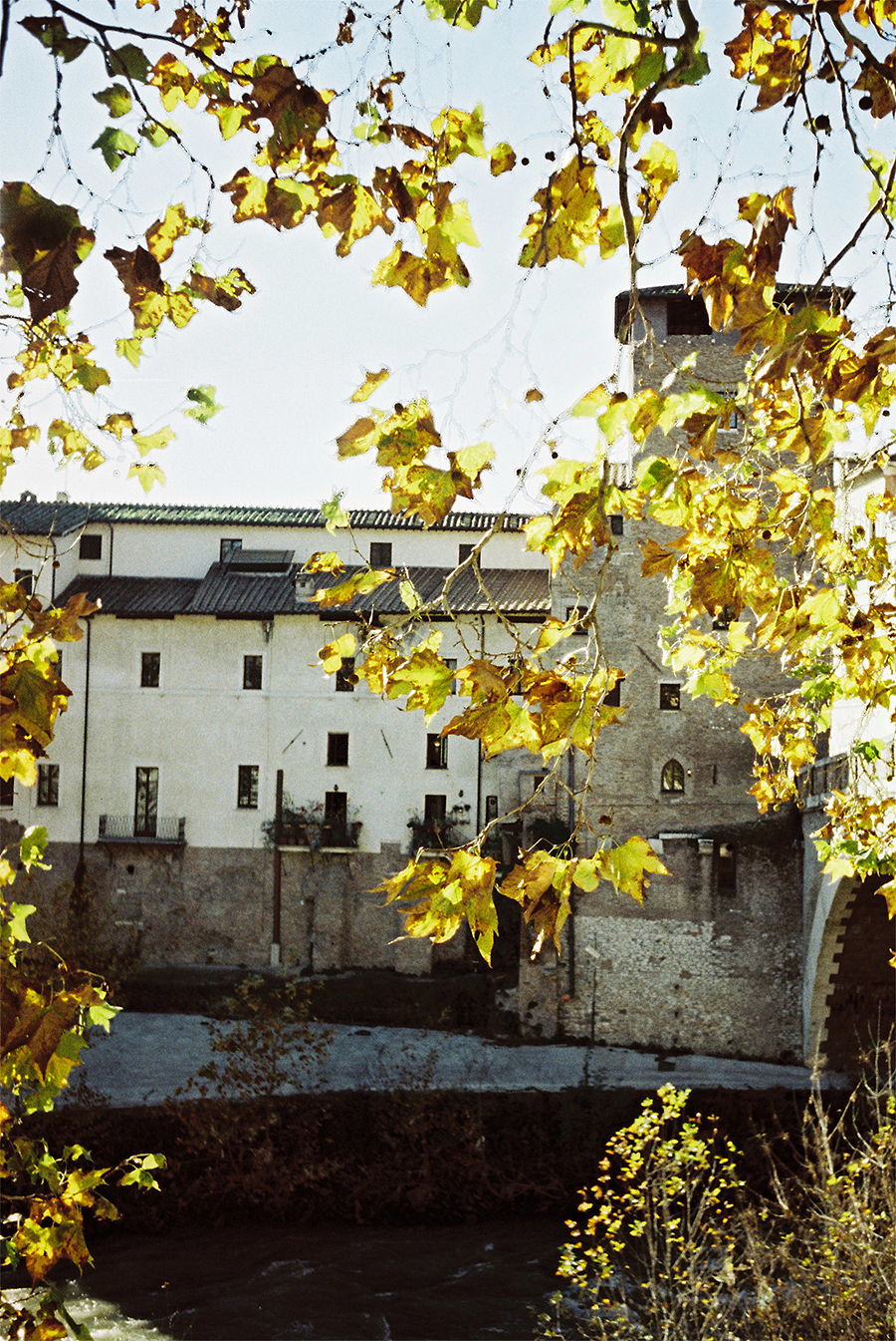 记录一次“放纵”