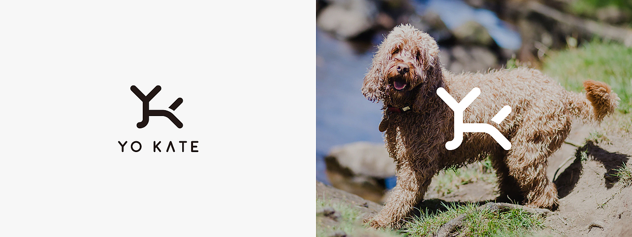 字母组合freestyle(Y篇)