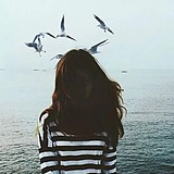 葡萄藤下的蜗牛的头像