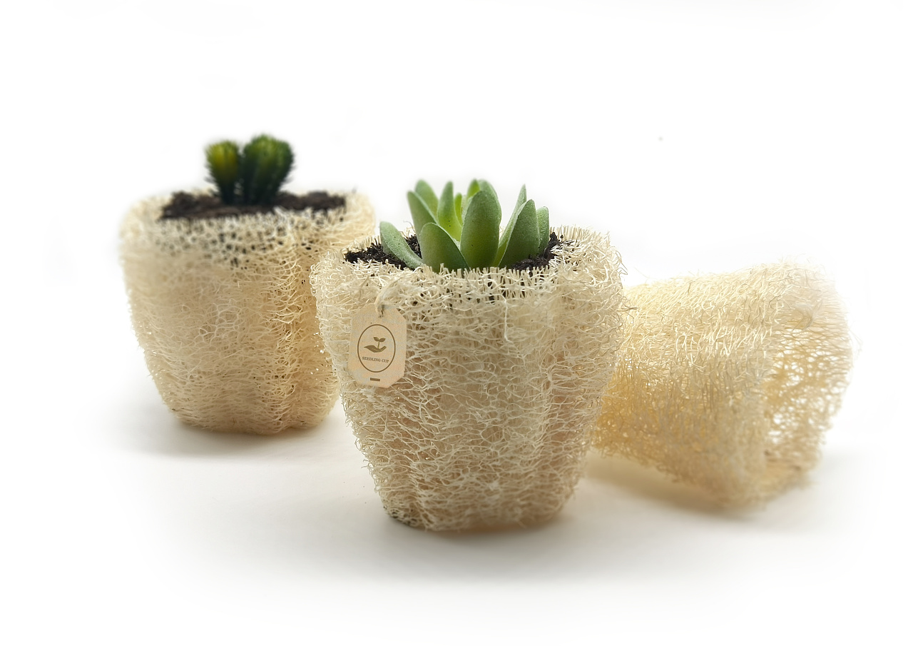 农村丝瓜络再生植物育苗杯设计