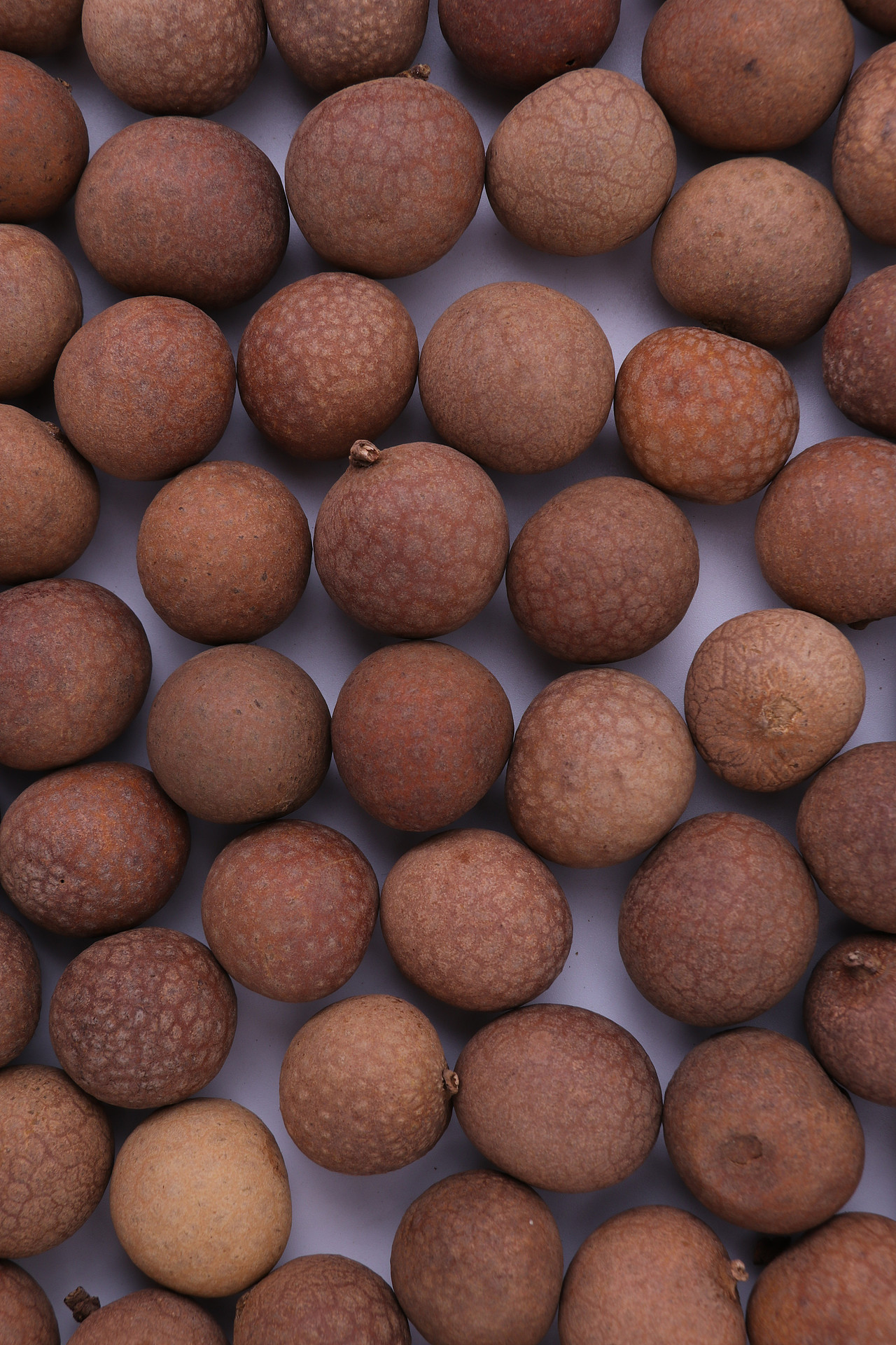 B08零食\C04-蜜饯\V19桂圆干X1-QM