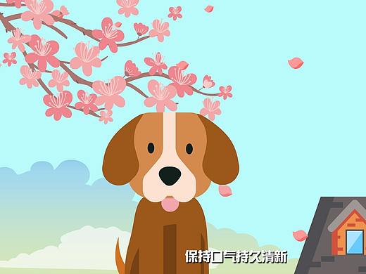 麥富迪清口香產(chǎn)品動畫（個人主頁-ZMzI3OTU2NDQ=） - 動畫片 - 站酷設(shè)計師壹刻動漫原創(chuàng)素材 - 站酷ZCOOL