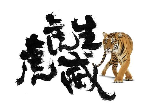 2022 {虎年} 虎虎生威