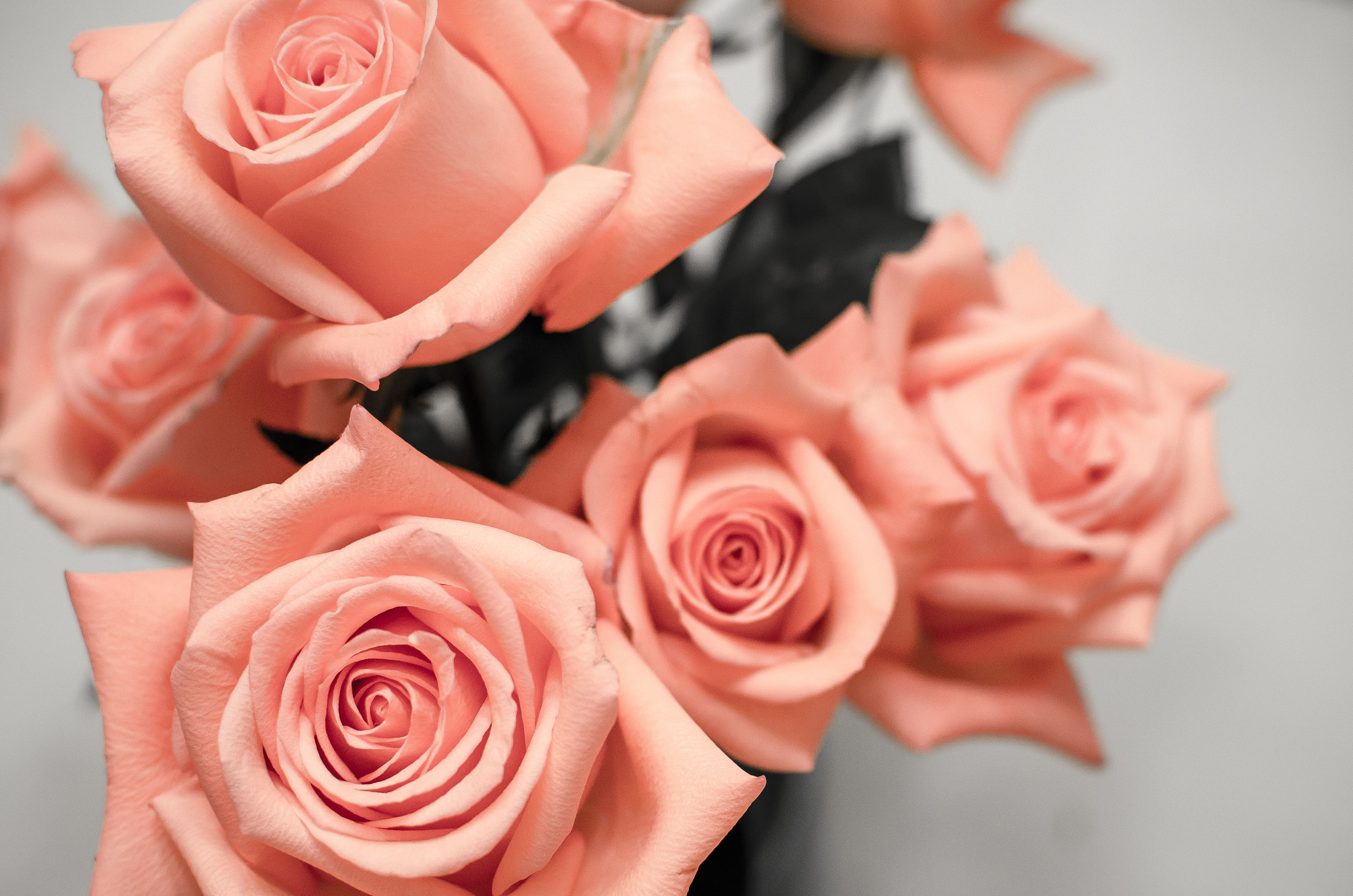 灰/粉 搭配一组