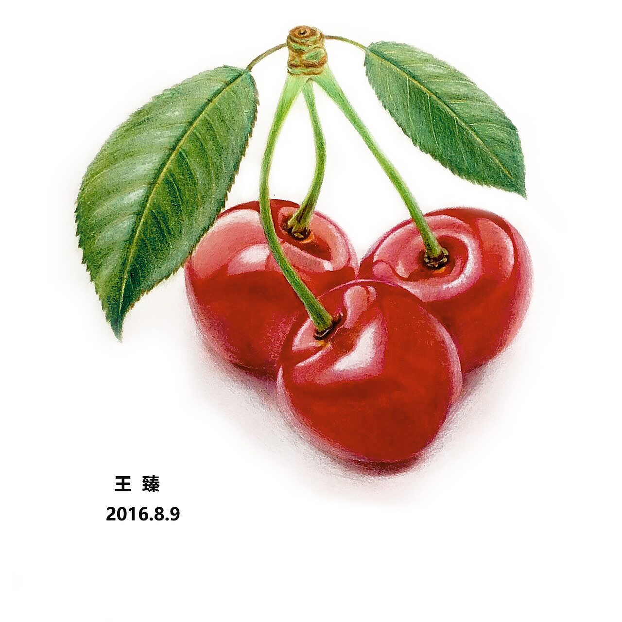 我的 基础班学员 毕业创作(都是写生皂片)