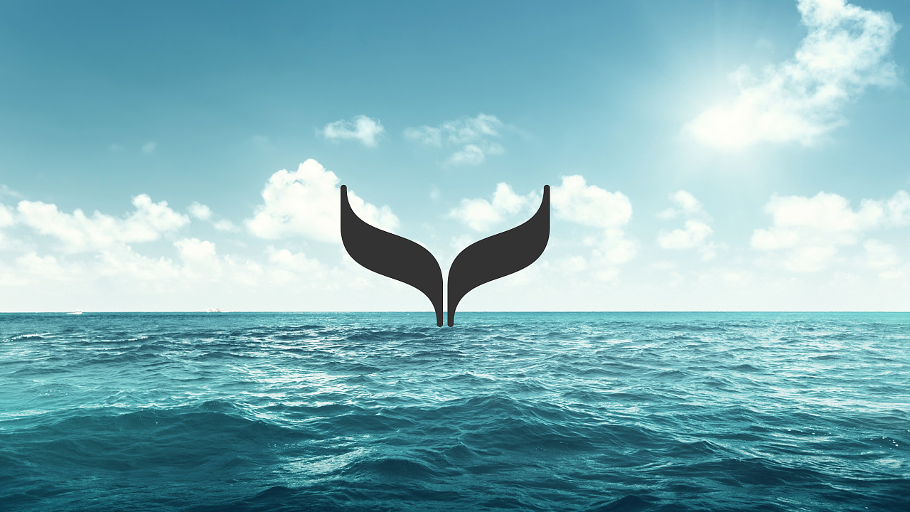 鲸与海品牌形象设计