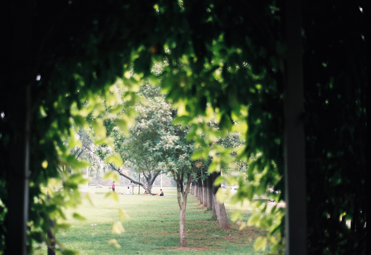 吴熙玮和他的胶片