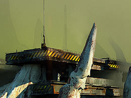 废土