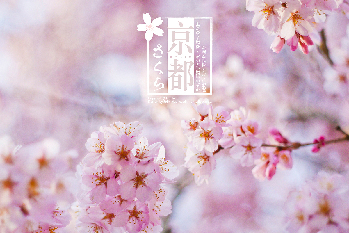 這些 那些 櫻花（图ZNDY5NTUwNjg=） - 风光摄影 - 站酷设计师jolinivy原创素材 - 站酷ZCOOL