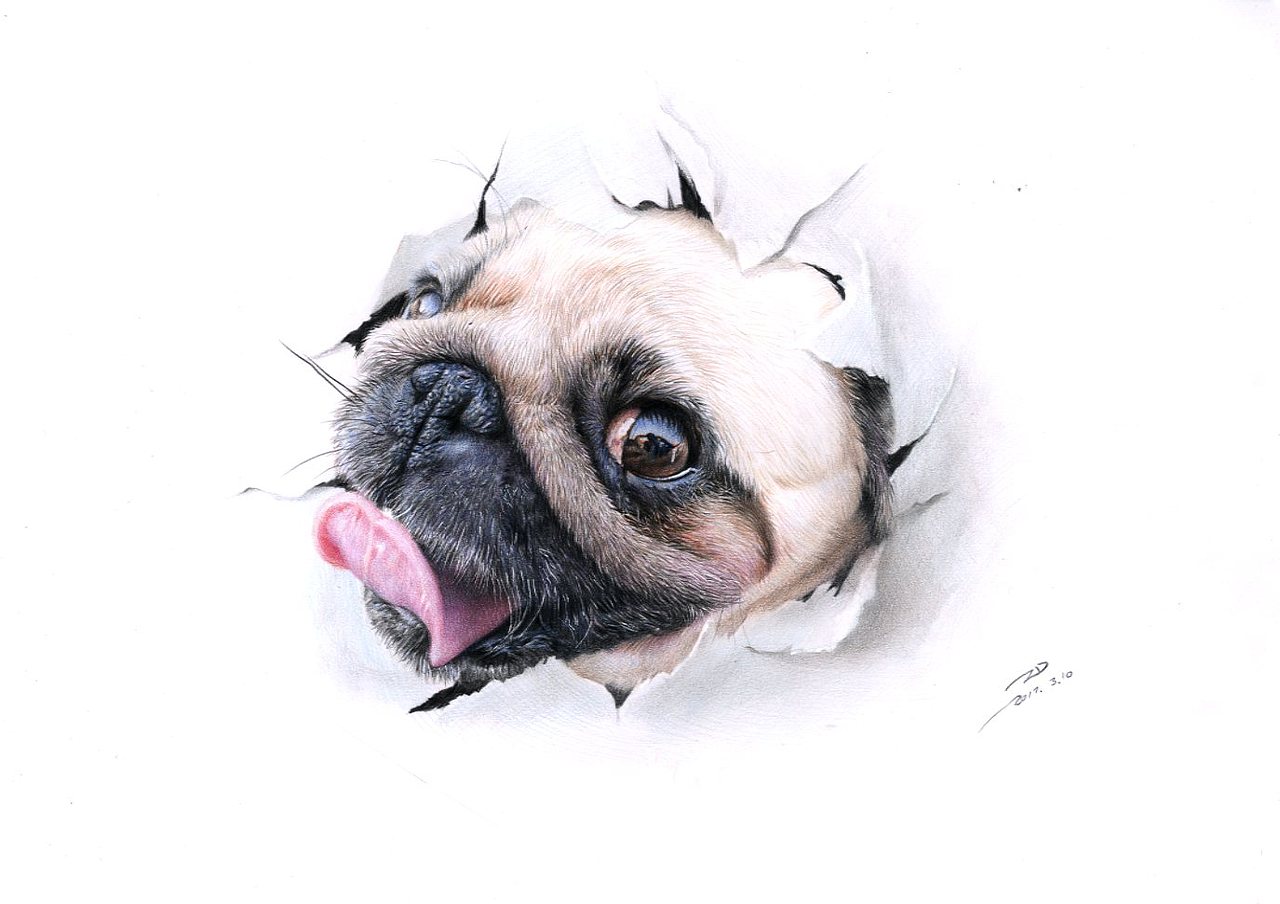 涂個(gè)3D汪（圖ZNzQwMTE0Njg=） - 繪畫(huà) - 站酷設(shè)計(jì)師AisinGioroZD周丹原創(chuàng)素材 - 站酷ZCOOL