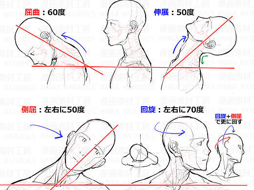 「素材」首の骨と筋肉変化＋首可動のフリ part 01