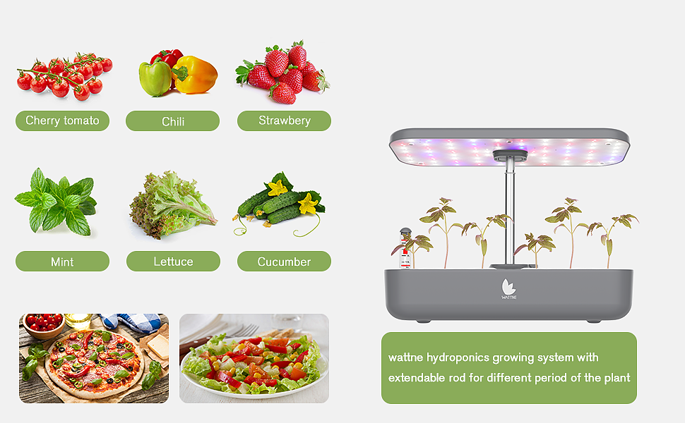 亚马逊产品系列(7)