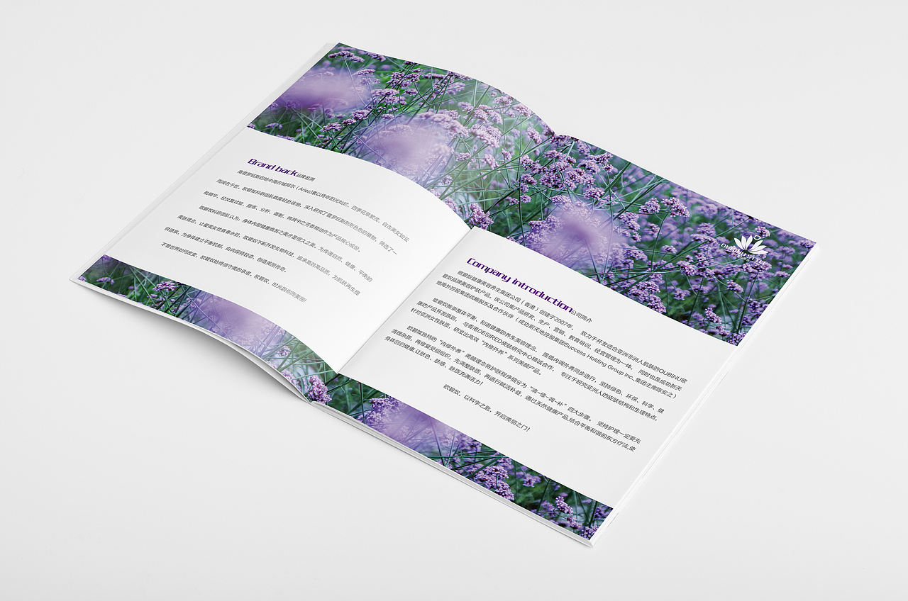 美容手册（图ZMzI5NjA0NDQ=） - 书籍/画册 - 站酷设计师Badsun原创素材 - 站酷ZCOOL