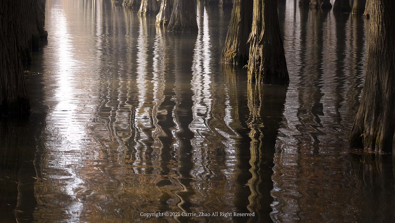 摄影+修图练习#1