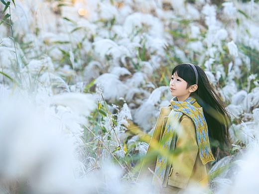 芦苇不语 风却知道