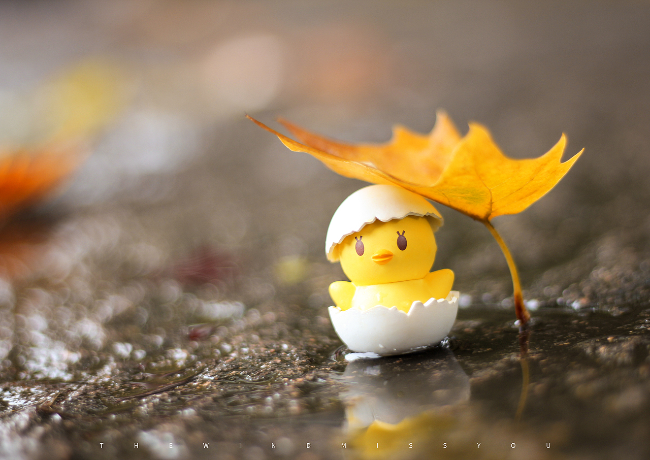 小黄鸡旅行记（图ZNjQwODkxMjA=） - 产品摄影 - 站酷设计师L_X_原创素材 - 站酷ZCOOL