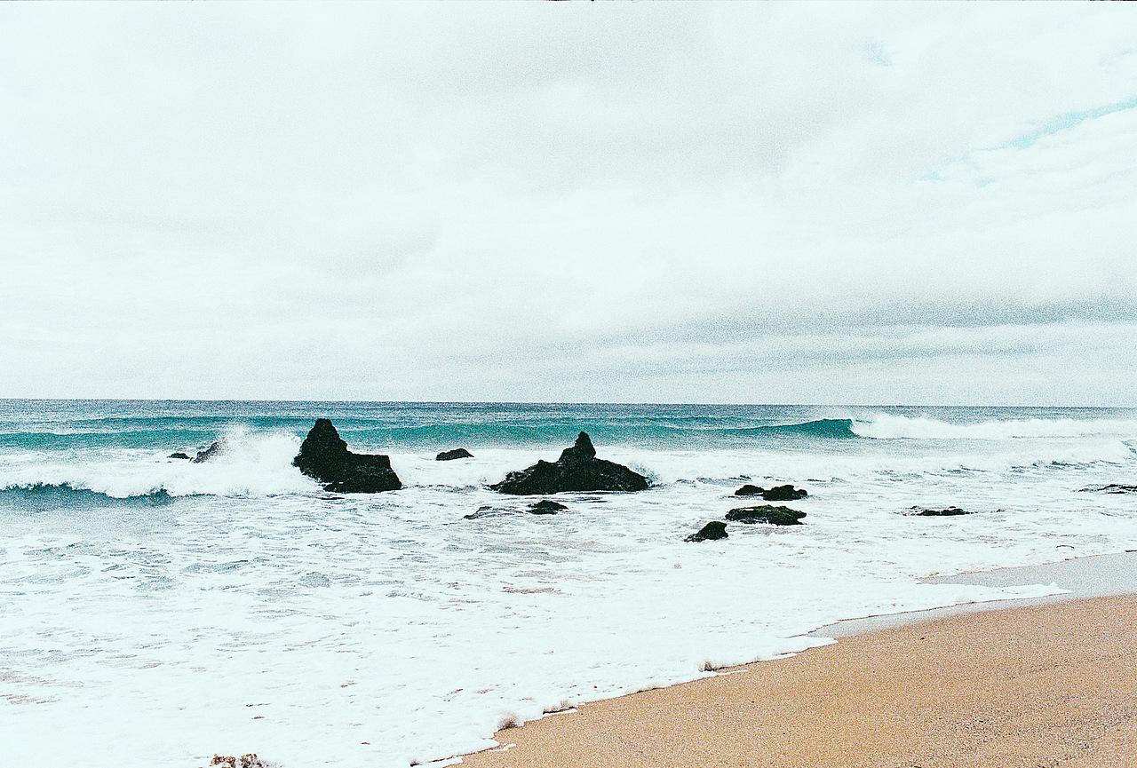 #COC# 海峡对岸台湾行