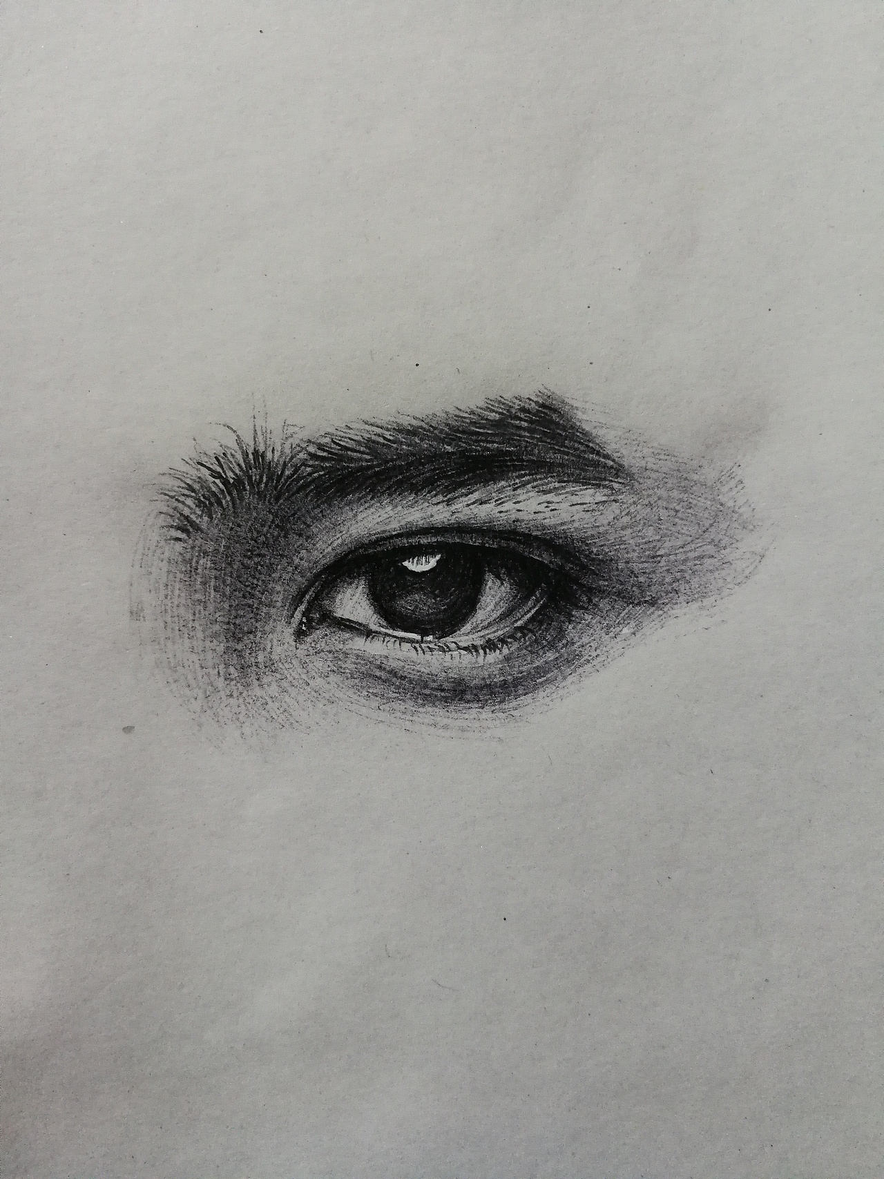 眼睛(圆珠笔画)